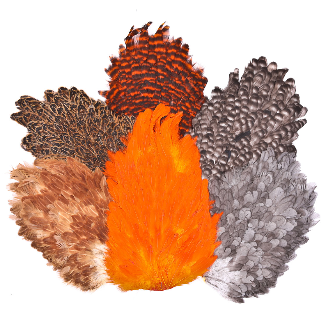 Whiting 4 B's Hen Saddle (selle de poule)