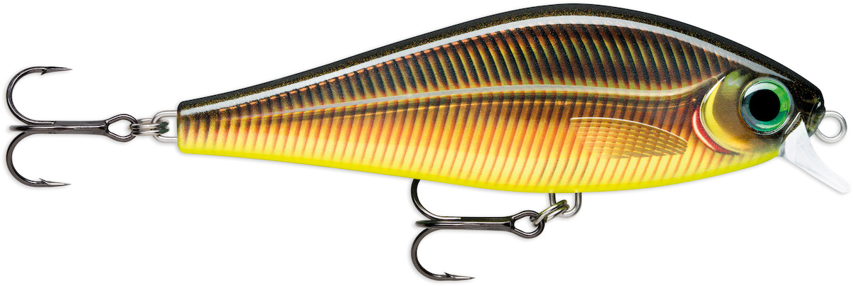 golden smelt