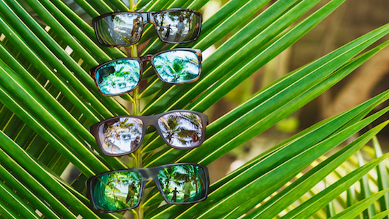 Lunettes de soleil Bajio - Lunettes polarisantes haut de gamme issues d'une production durable