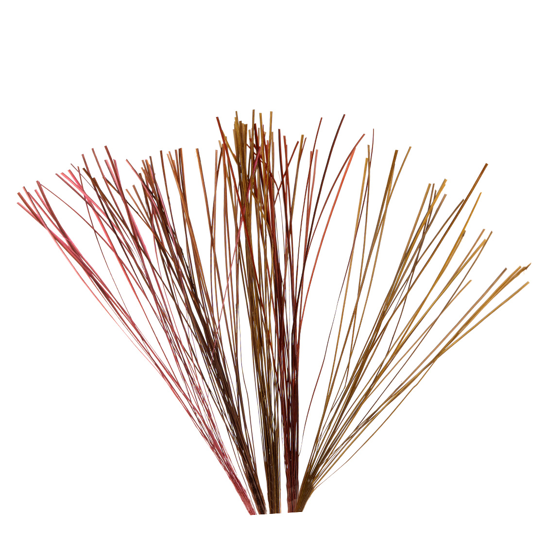 Quills strippés Fulling Mill