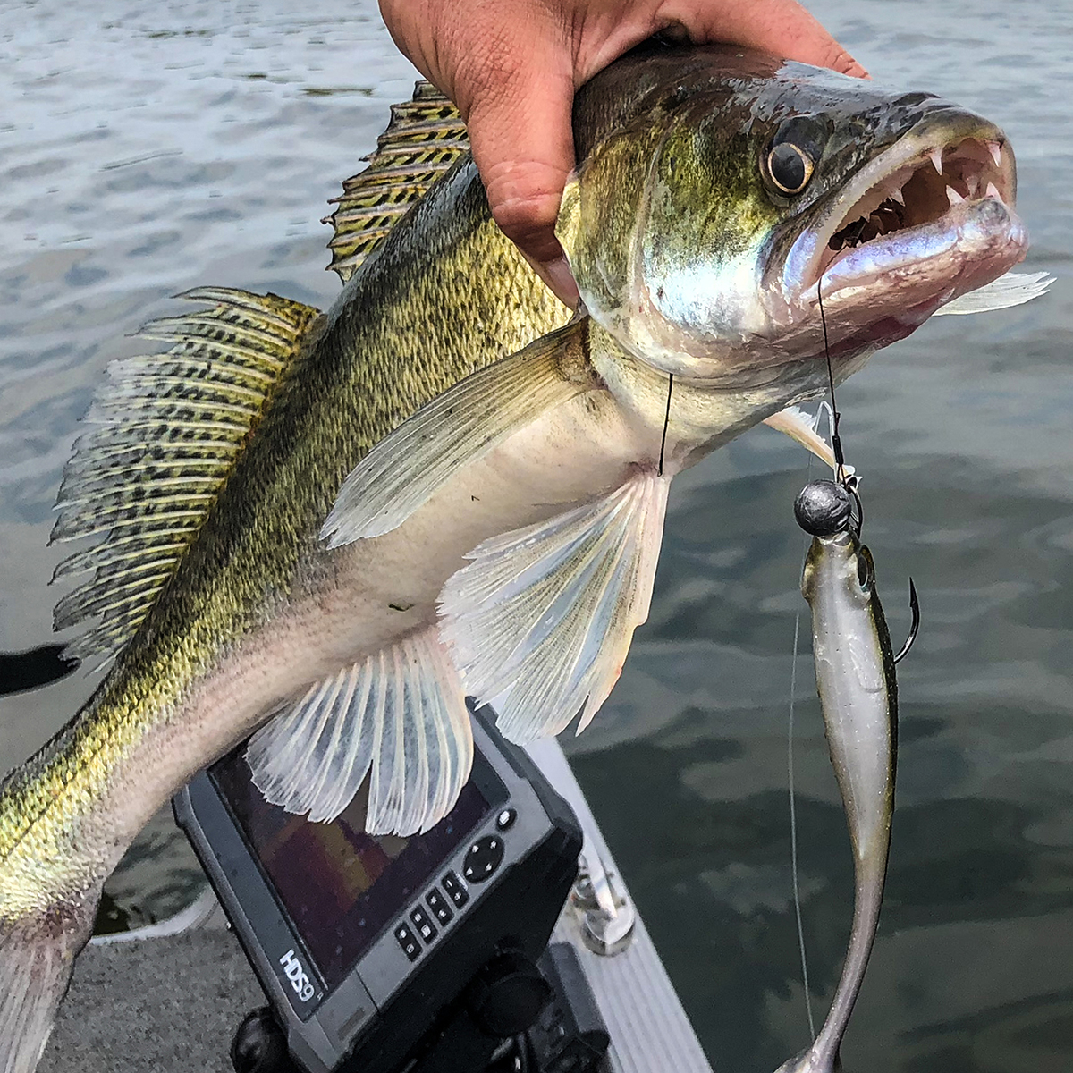 Iris-Softlure3