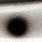 black wp