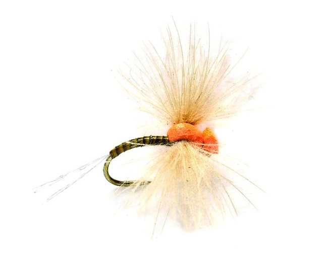 Fulling Mill mouche sèche - Drop Arse Spinner Olive Barbless