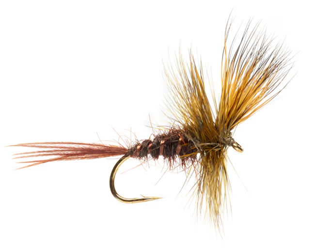 Fulling Mill Tactical Dryfly Jackie's Dark Olive Mayfly Dun #10 Mouche de mai