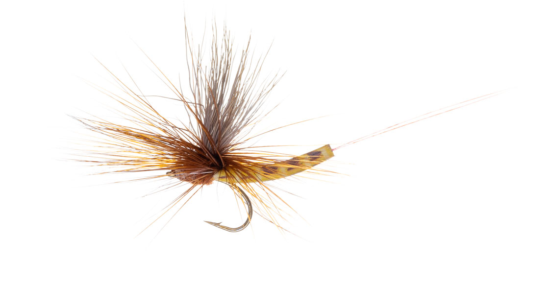Vania Realistic Mayfly Elk Wing Danica Mouche sèche