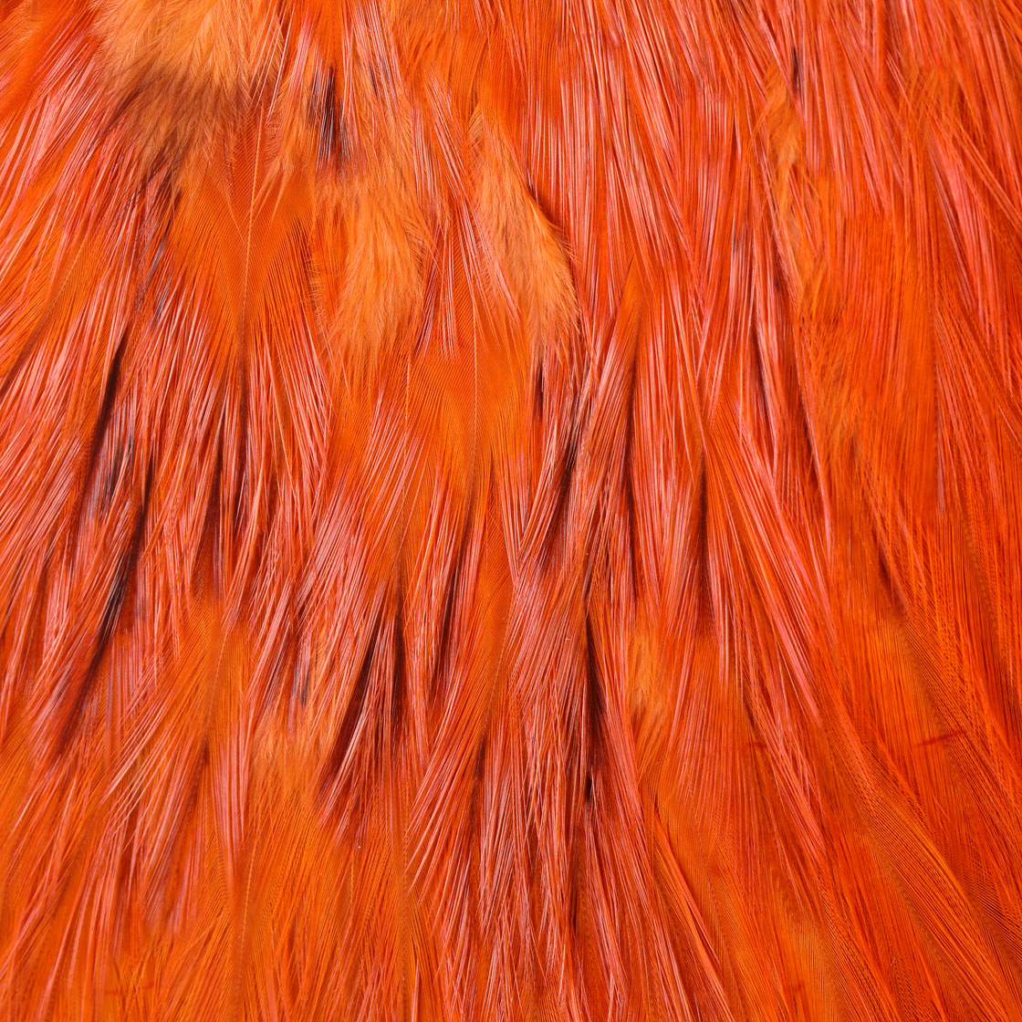 P-25376_Whiting-4-B-s-Rooster-Saddle_detail_8