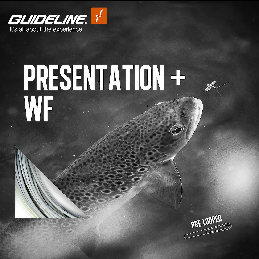 Guideline Presentation+ ligne à mouche flottante