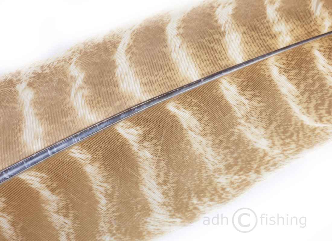 hares ear (bleached)