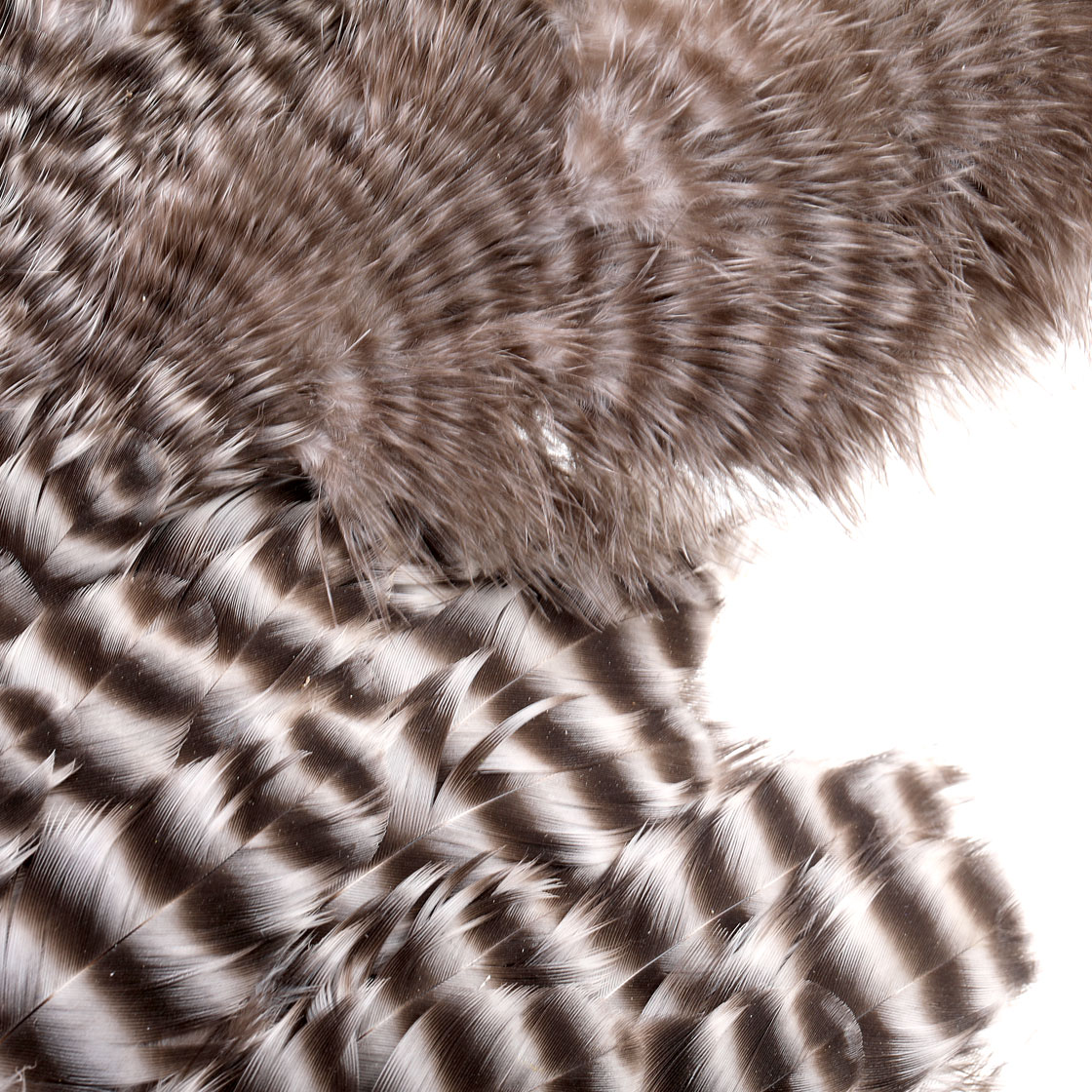 P-21025_ewing_body_marabou_patch_detail-2
