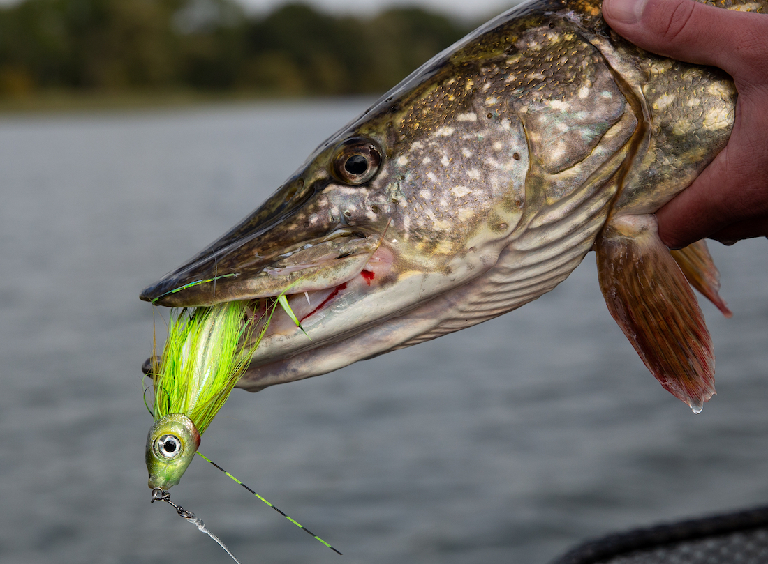 P-23051_Wurm_Intruder_Streamer_gru-n