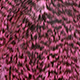 grizzly dyed shell pink