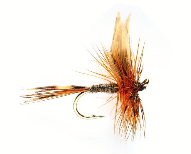 Mouche sèche Fulling Mill - Traditional March Brown