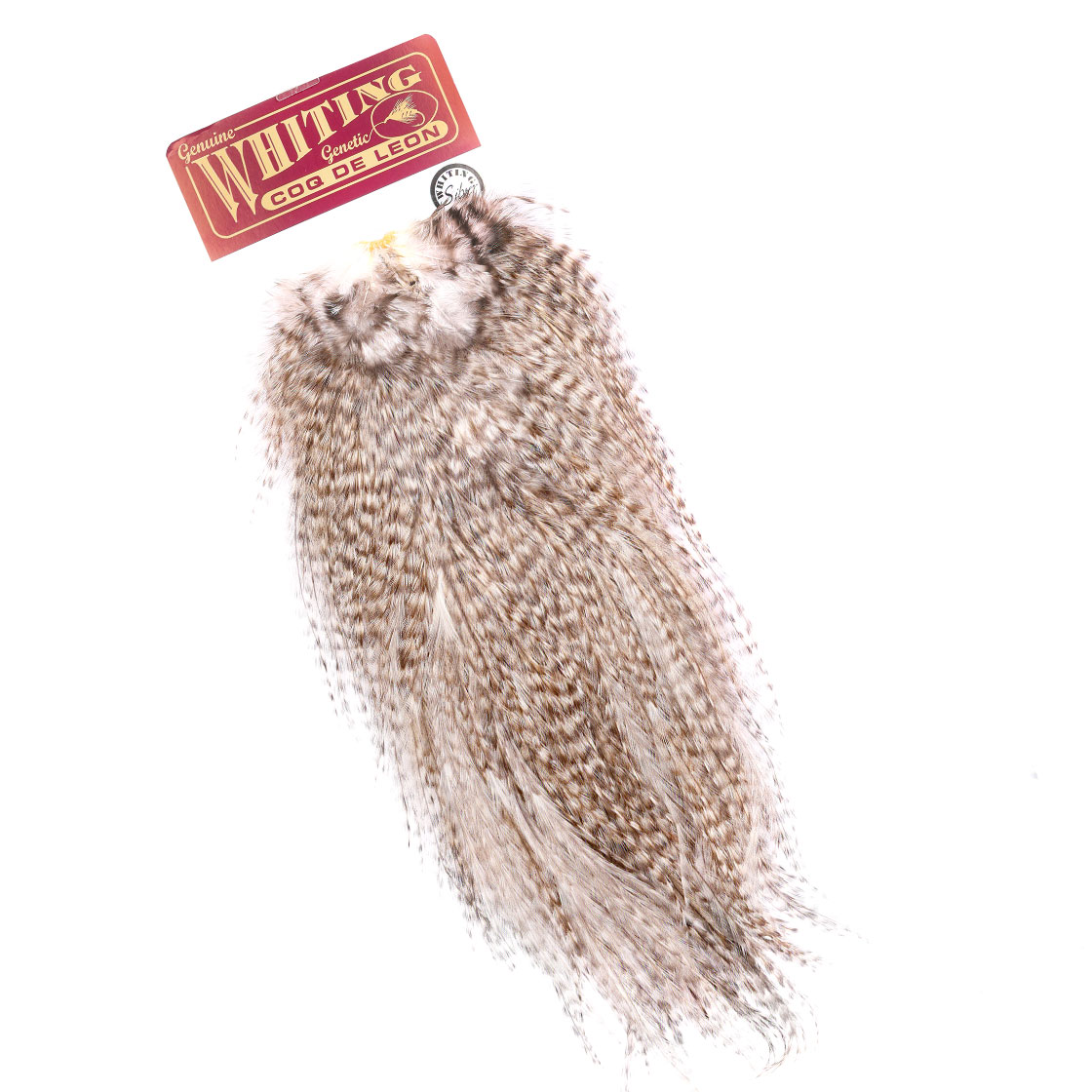 Selle Whiting Coq de Leon Silver Grade