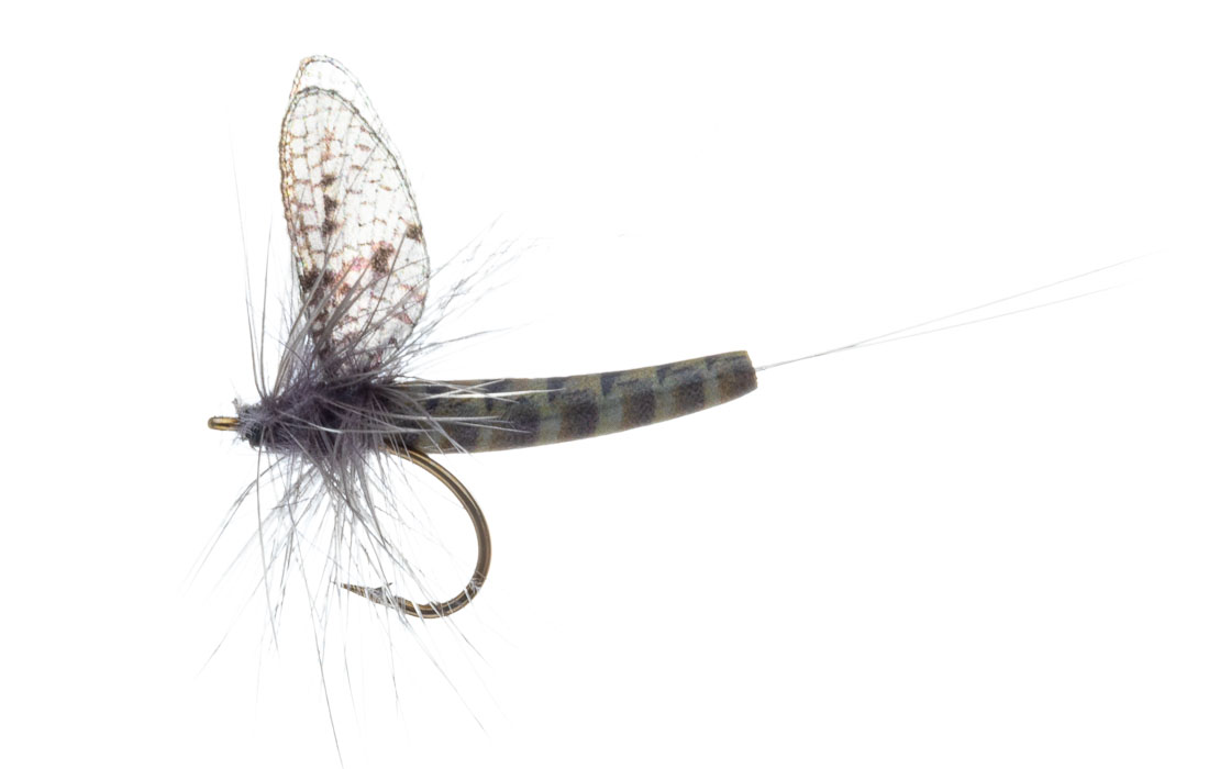 Vania Realistic Mayfly Grey Drake Mouche sèche