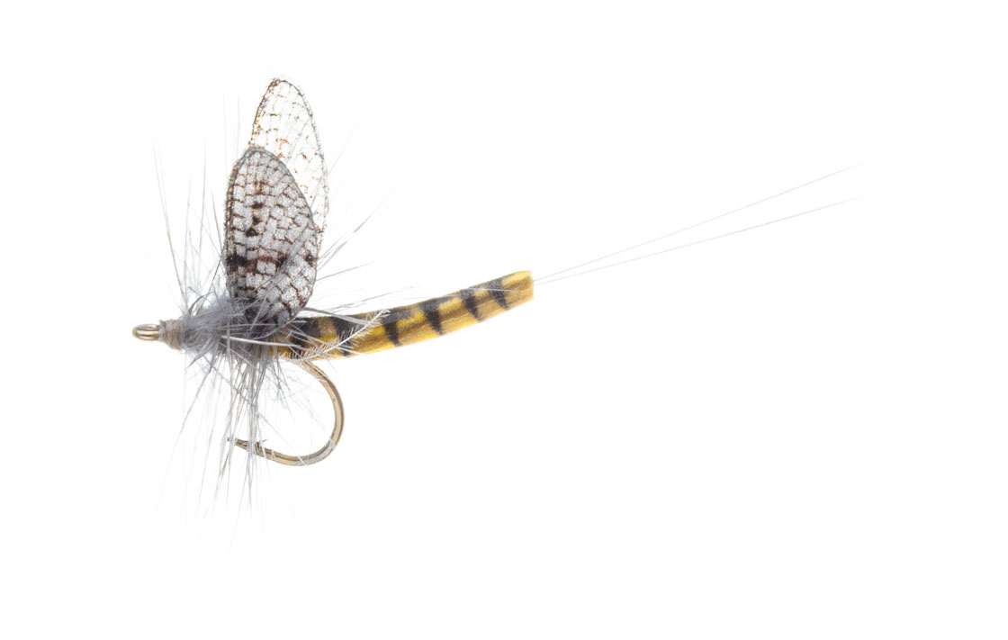 Vania Realistic Mayfly BWO Mouche sèche