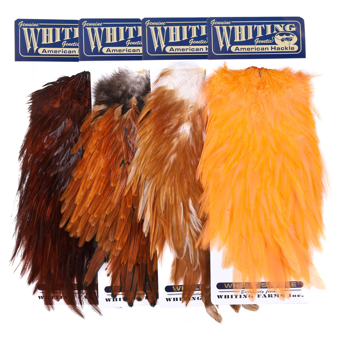 Selle Whiting American Rooster