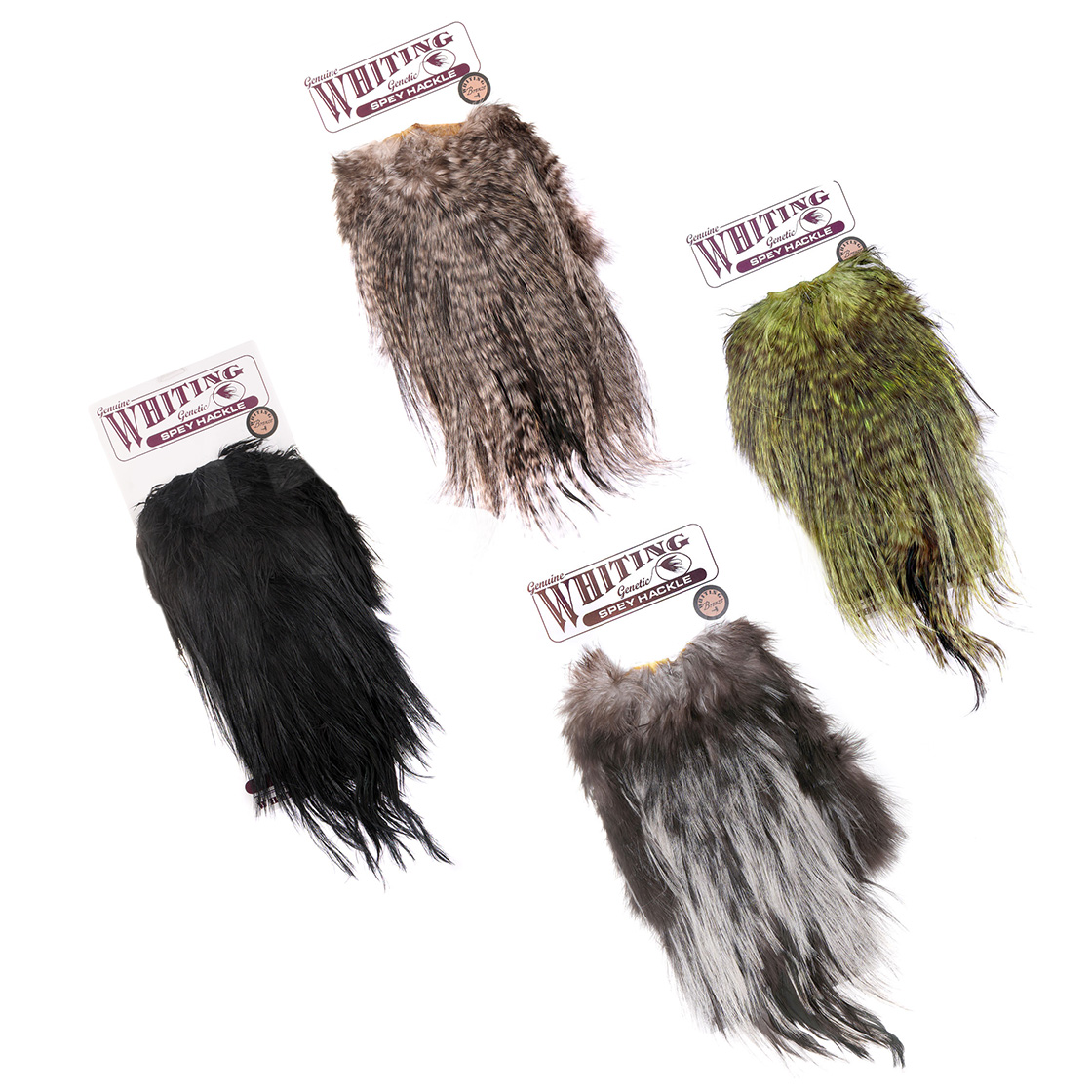 Selle de hackle Whiting Bronze Spey