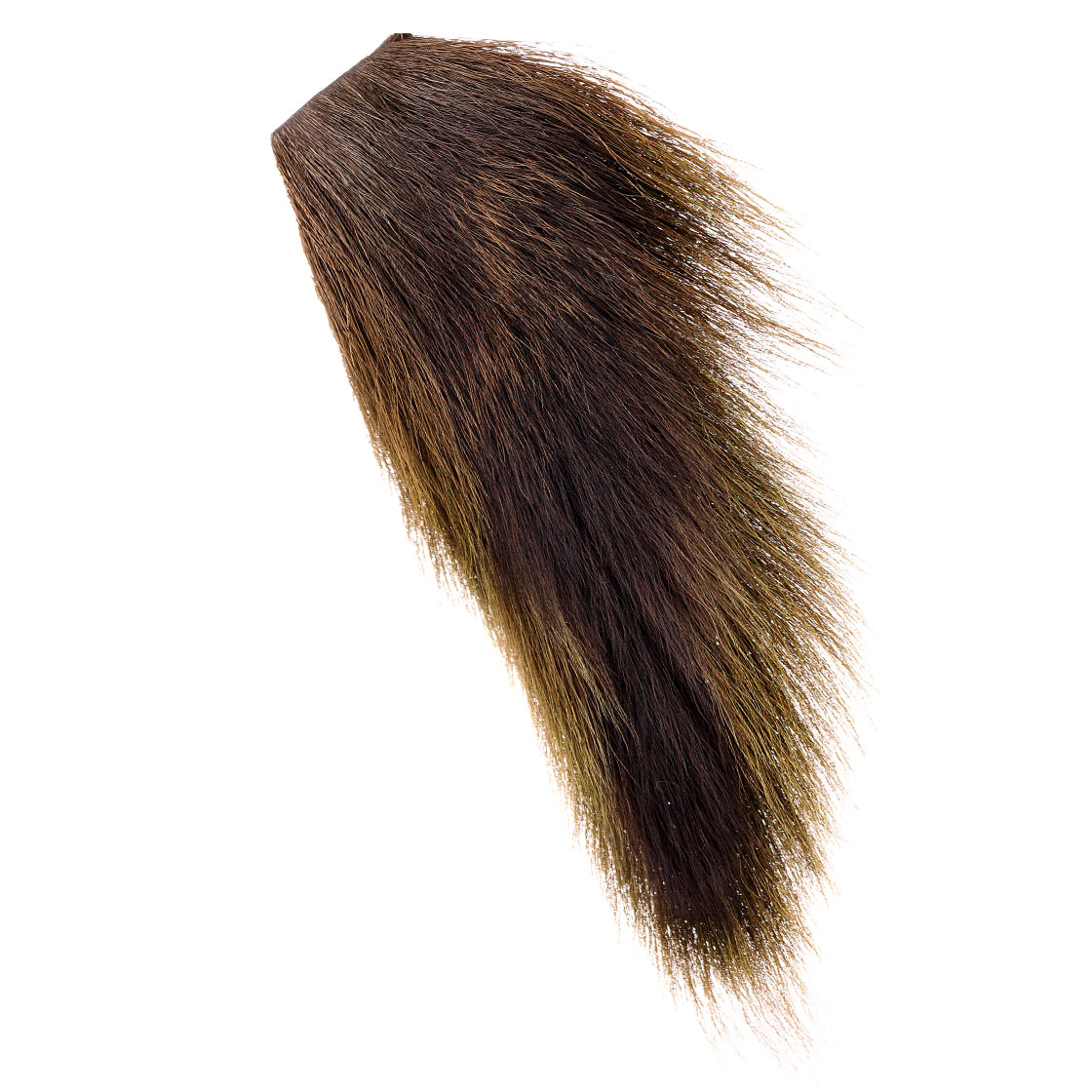 sculpin olive