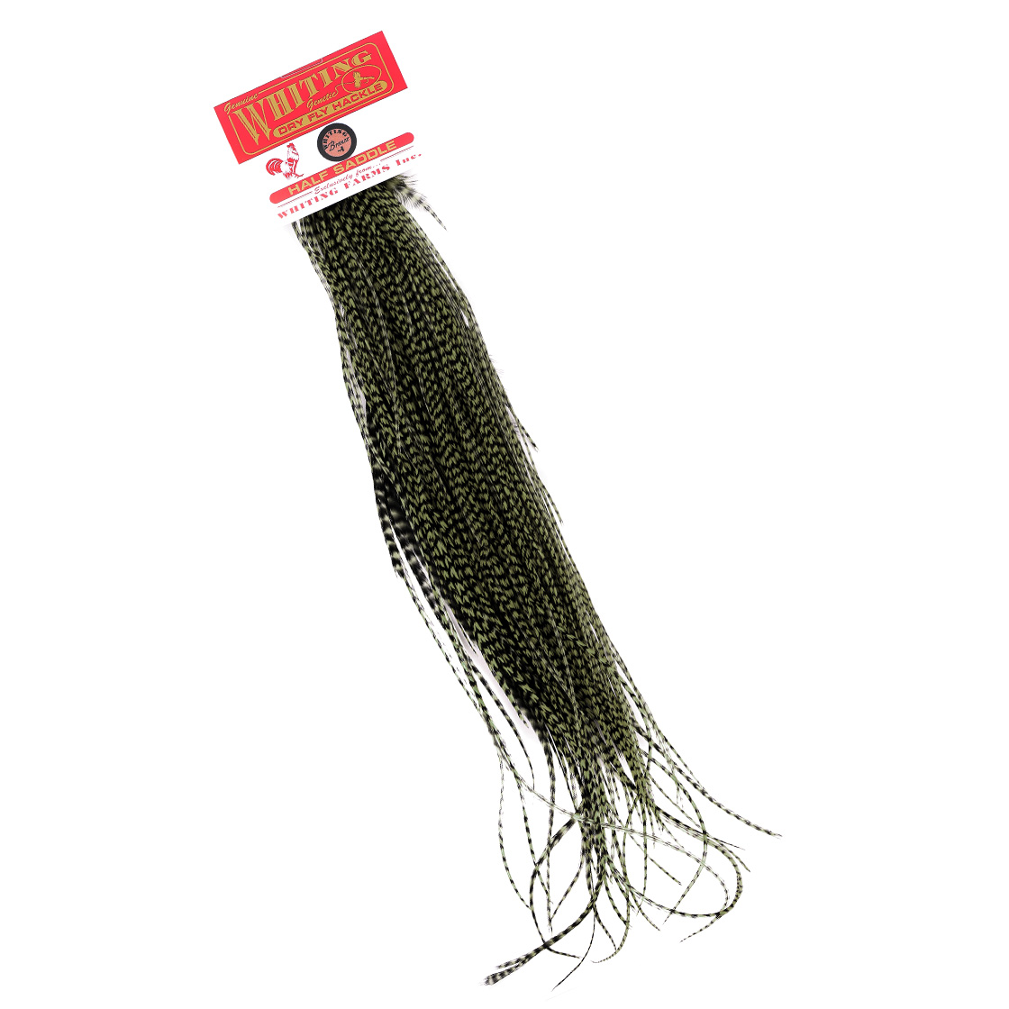 Whiting Bronze 1/2 selle Midge