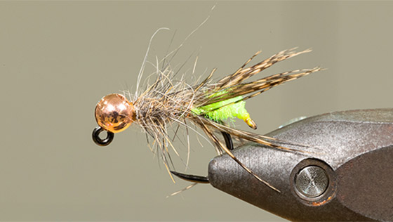 Vidéo de montage Peeping Caddis Jig avec Alexander Keus
