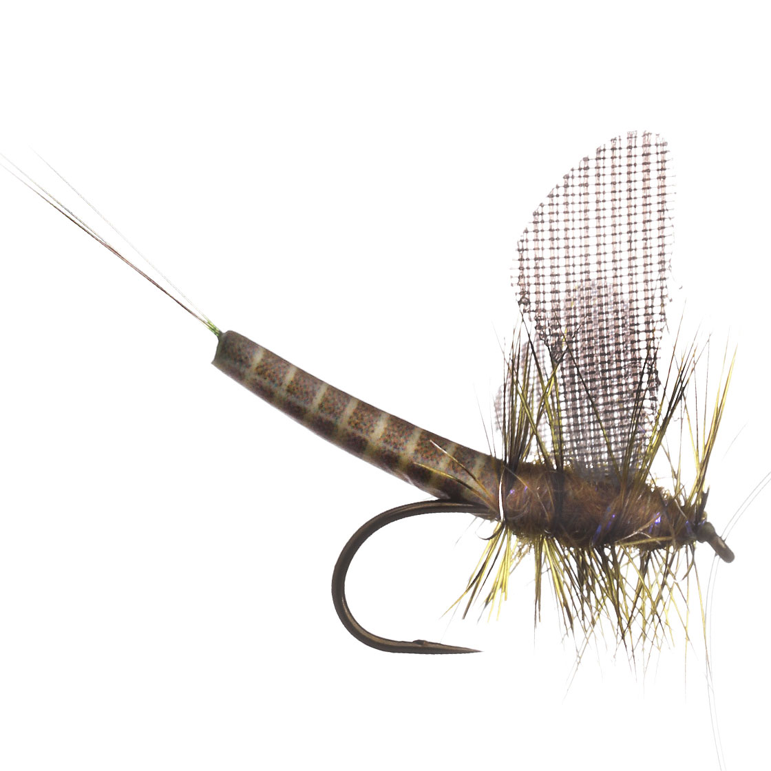 MFC Lucent Wing True Drake Green Mayfly Mouche sèche Mouche de mai Barbless #12
