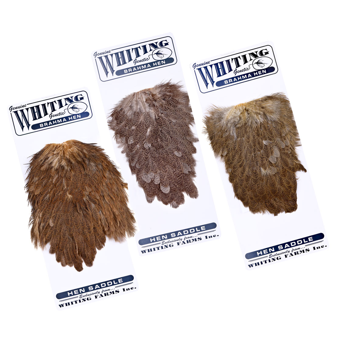 Whiting Brahma Hen Saddle (Selle de poule)
