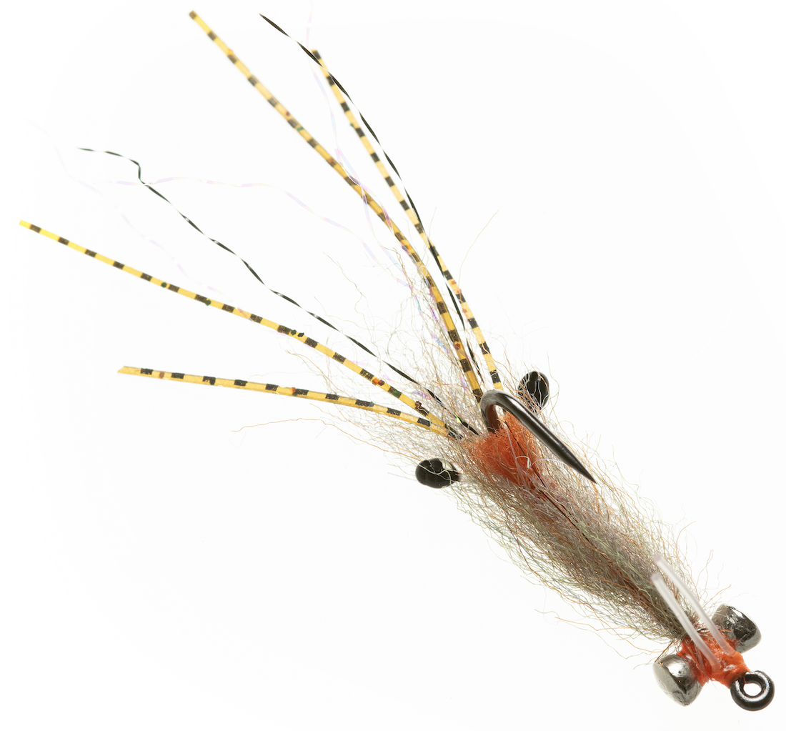 Enrico Puglisi SPAWNING SHRIMP - ROOT BEER