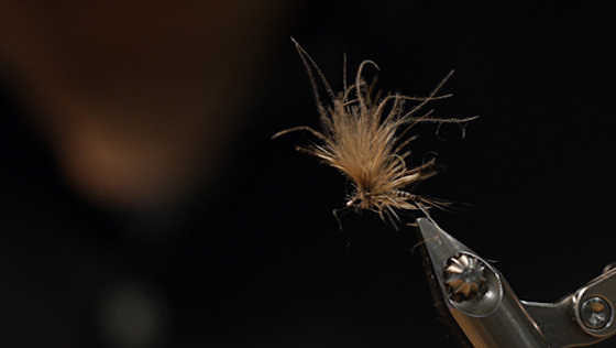 Vidéo de montage : CDC Day Fly