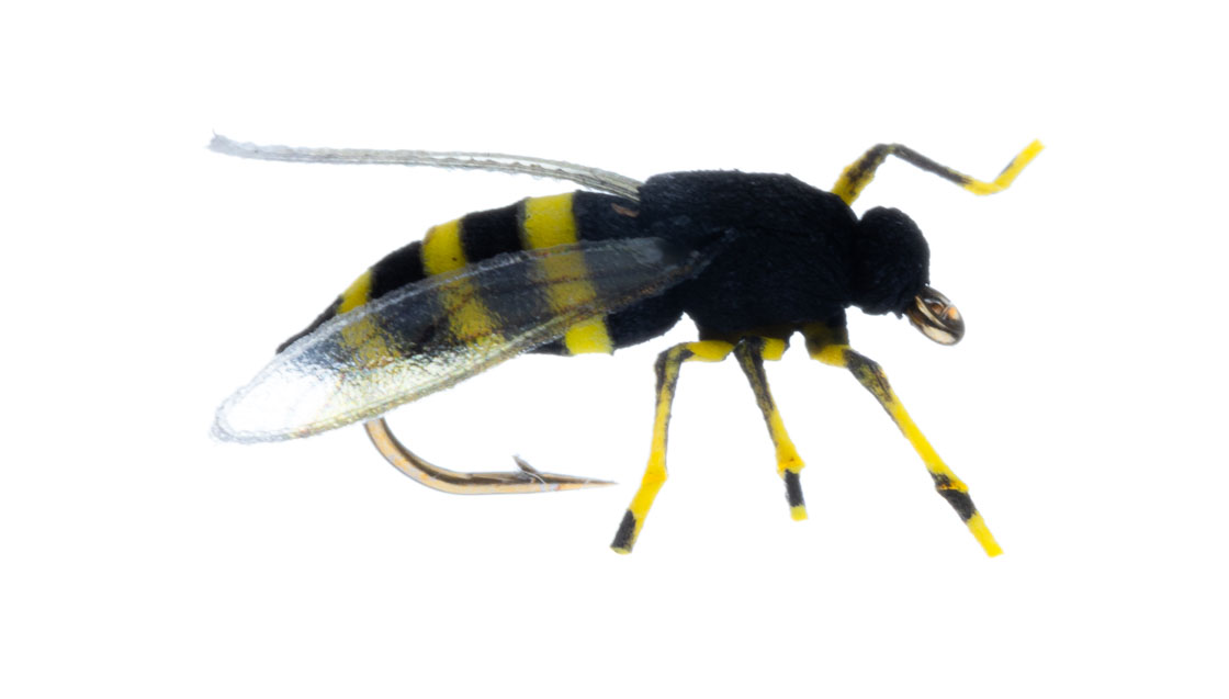 Vania Realistic Honey Wasp Mouche sèche