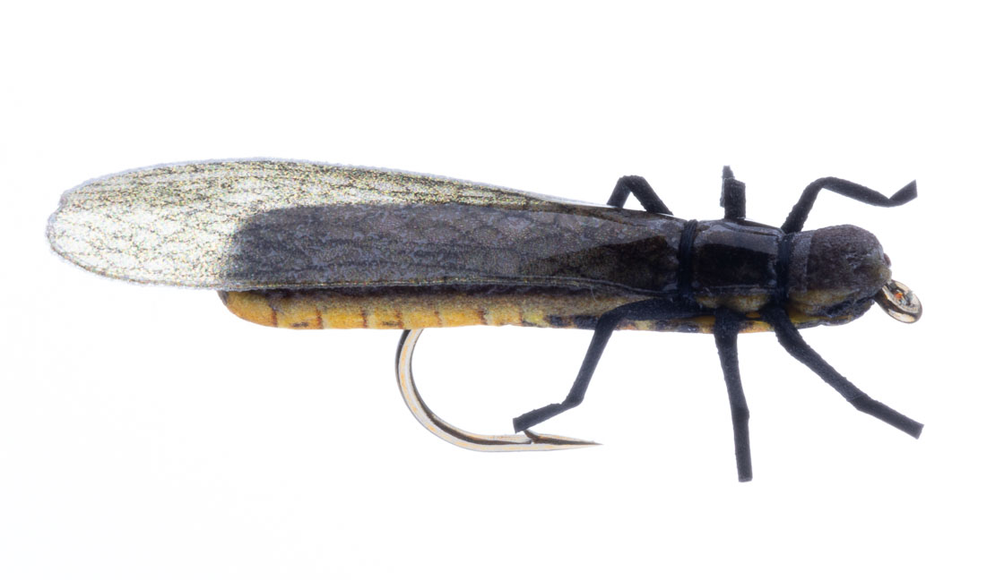 Vania Realistic European Stonefly mouche sèche