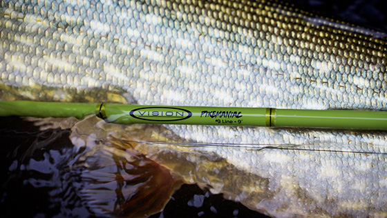 Nous testons : la canne à mouche Vision Pikemaniac, la nouvelle star du rapport qualité-prix dans le monde de la pêche au brochet 