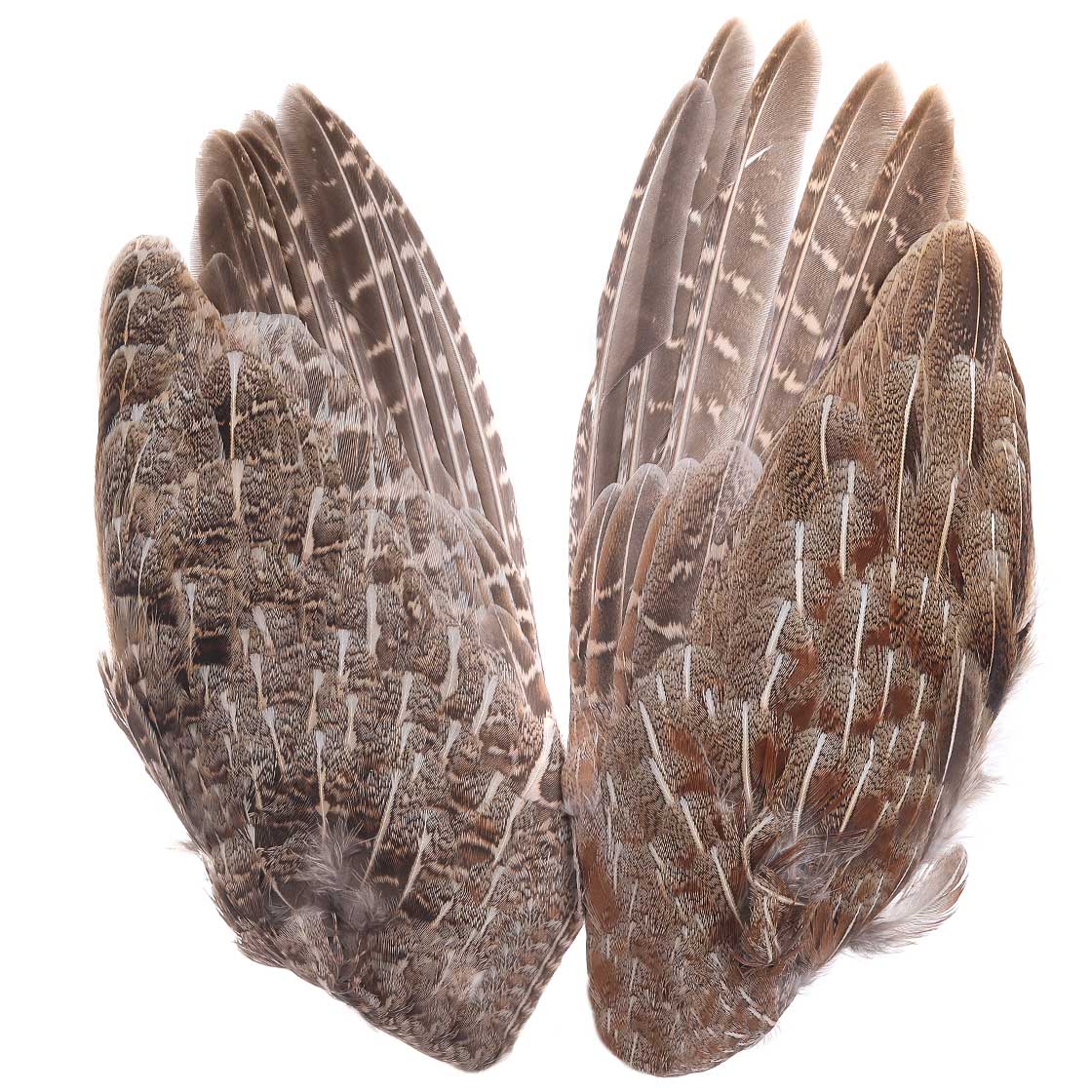 Veniard Partridge English Grey Whole Wings Naturel