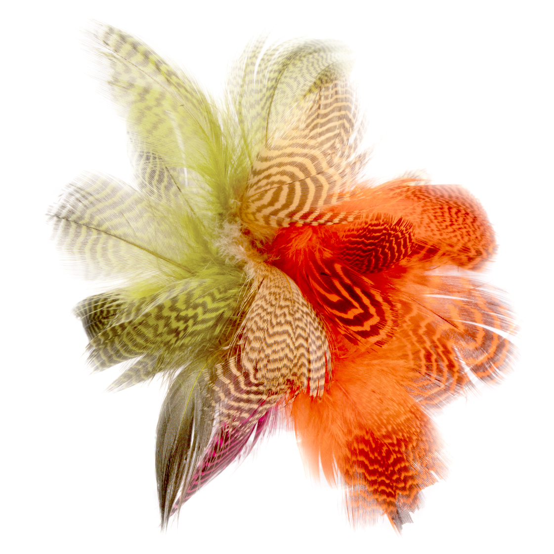 Hareline Teal Flank Feathers (plumes de flanc)