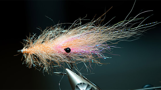 Vidéo de montage « Chenille Shrimp » Mouche pour la truite de mer avec Florian Gräser