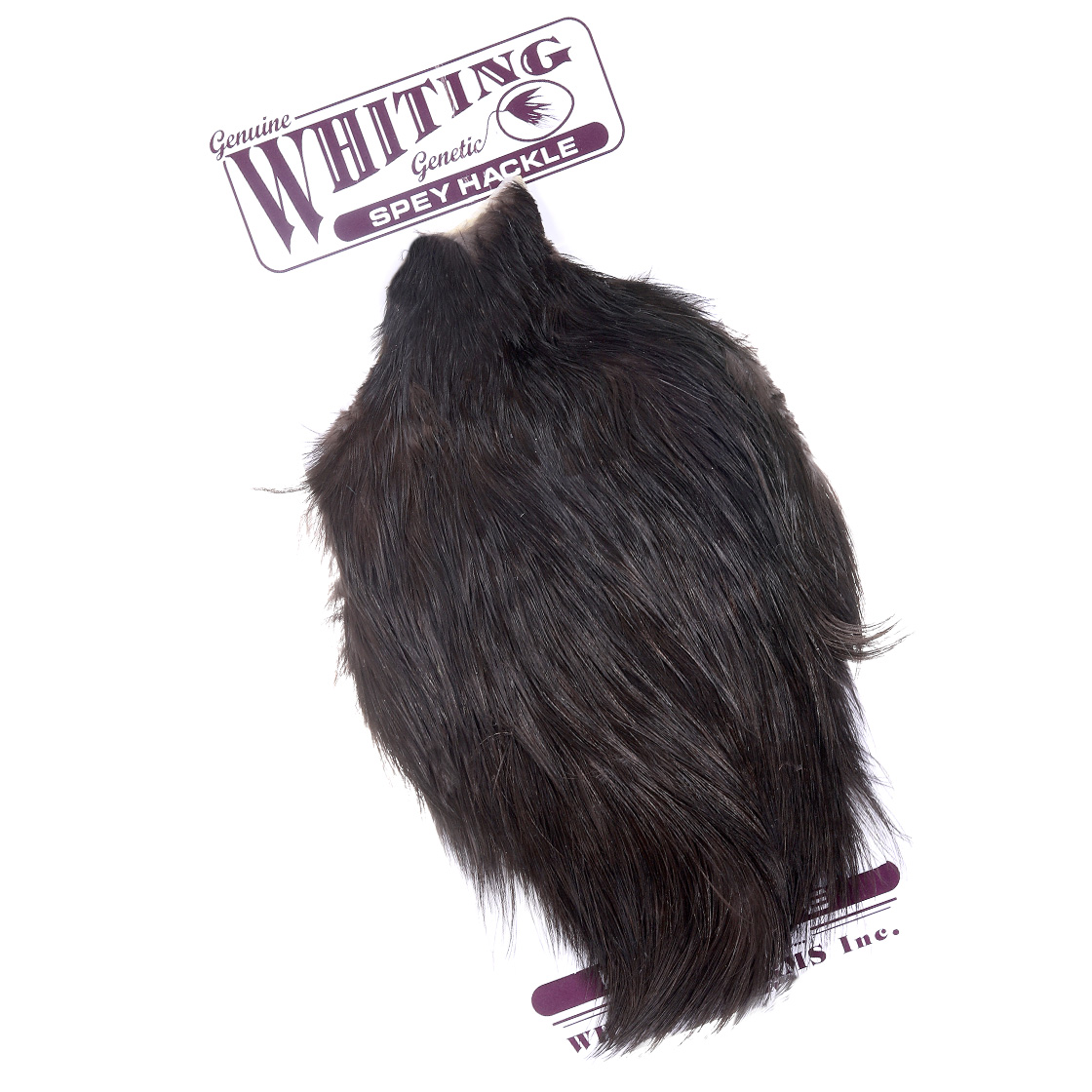 Whiting Spey Hen Hackle Cape