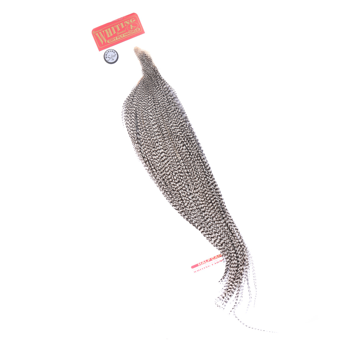 Whiting Silver 1/2 Cape
