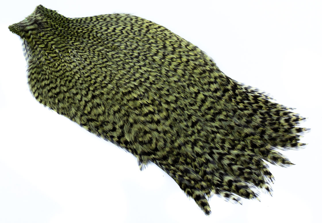 grizzly olive
