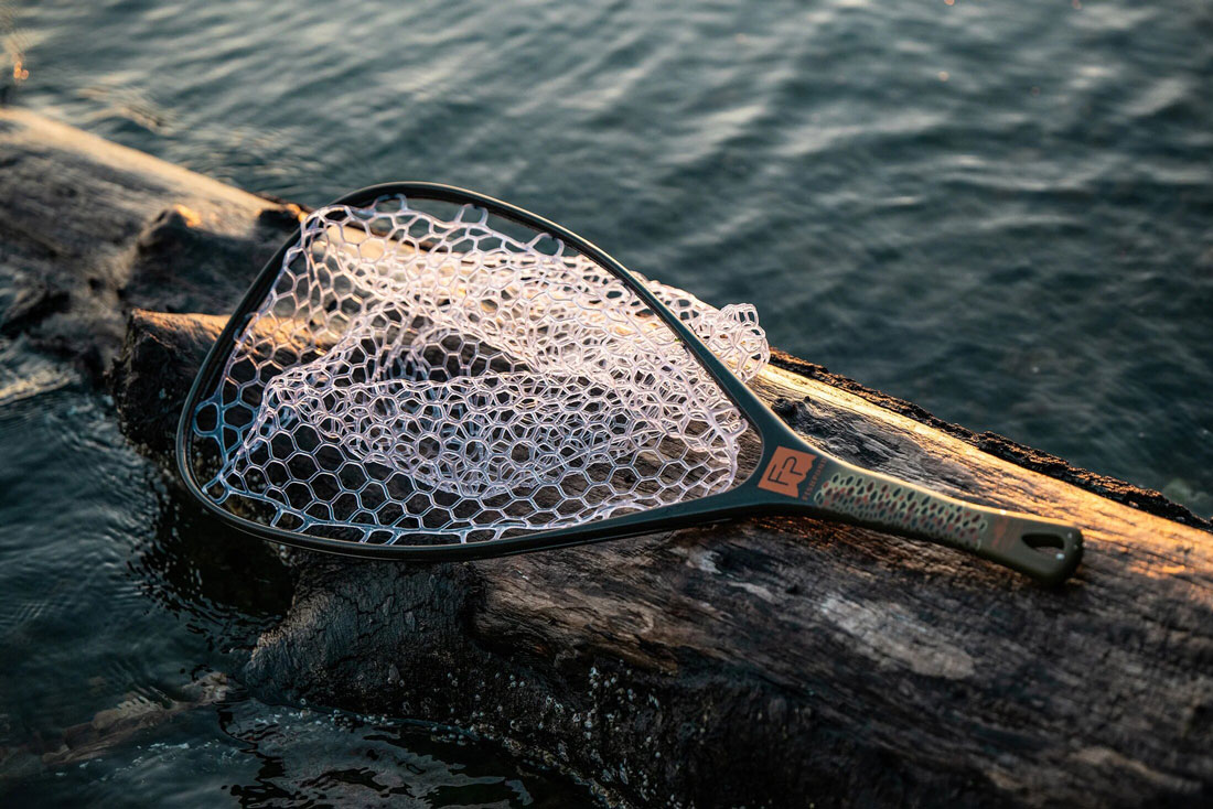 different color (brown trout)
