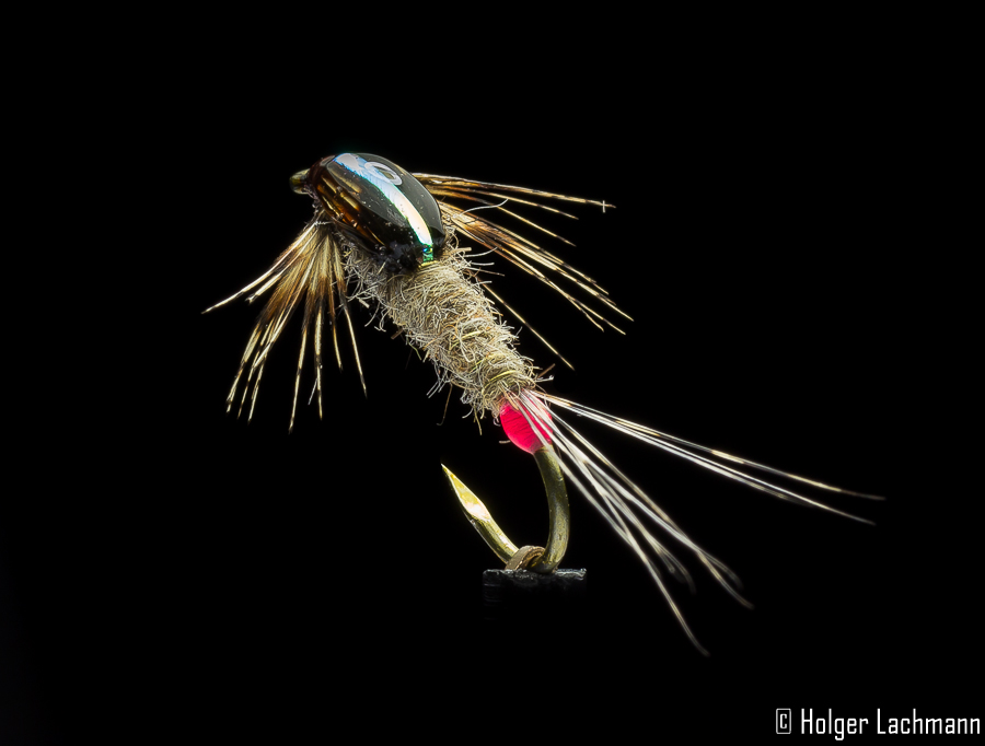 Beispiel Fliege (Holger Lachmann)