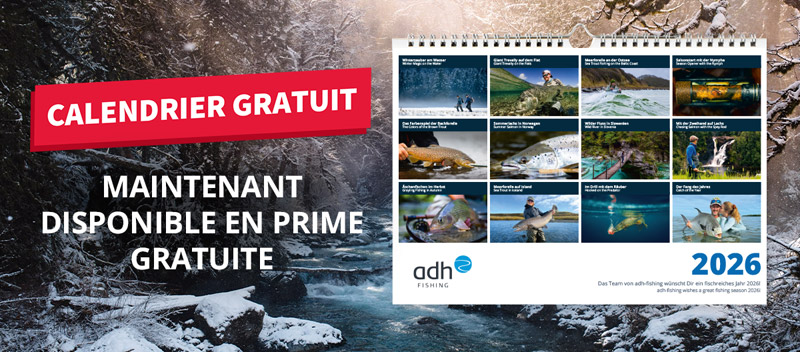 Maintenant en prime: Calendrier 2026 gratuit