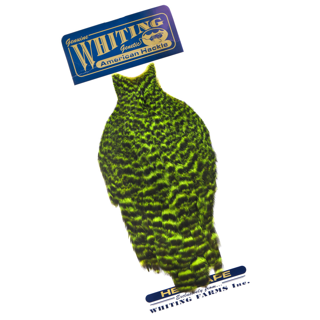 grizzly dyed fl. green chartreuse