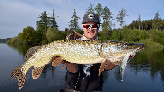 Début réussi pour la saison de pêche aux poissons carnassiers