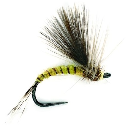 Fulling Mill mouche sèche - CDC Olive Emerger Barbless