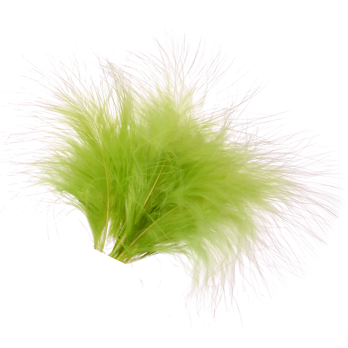 bright yellow olive