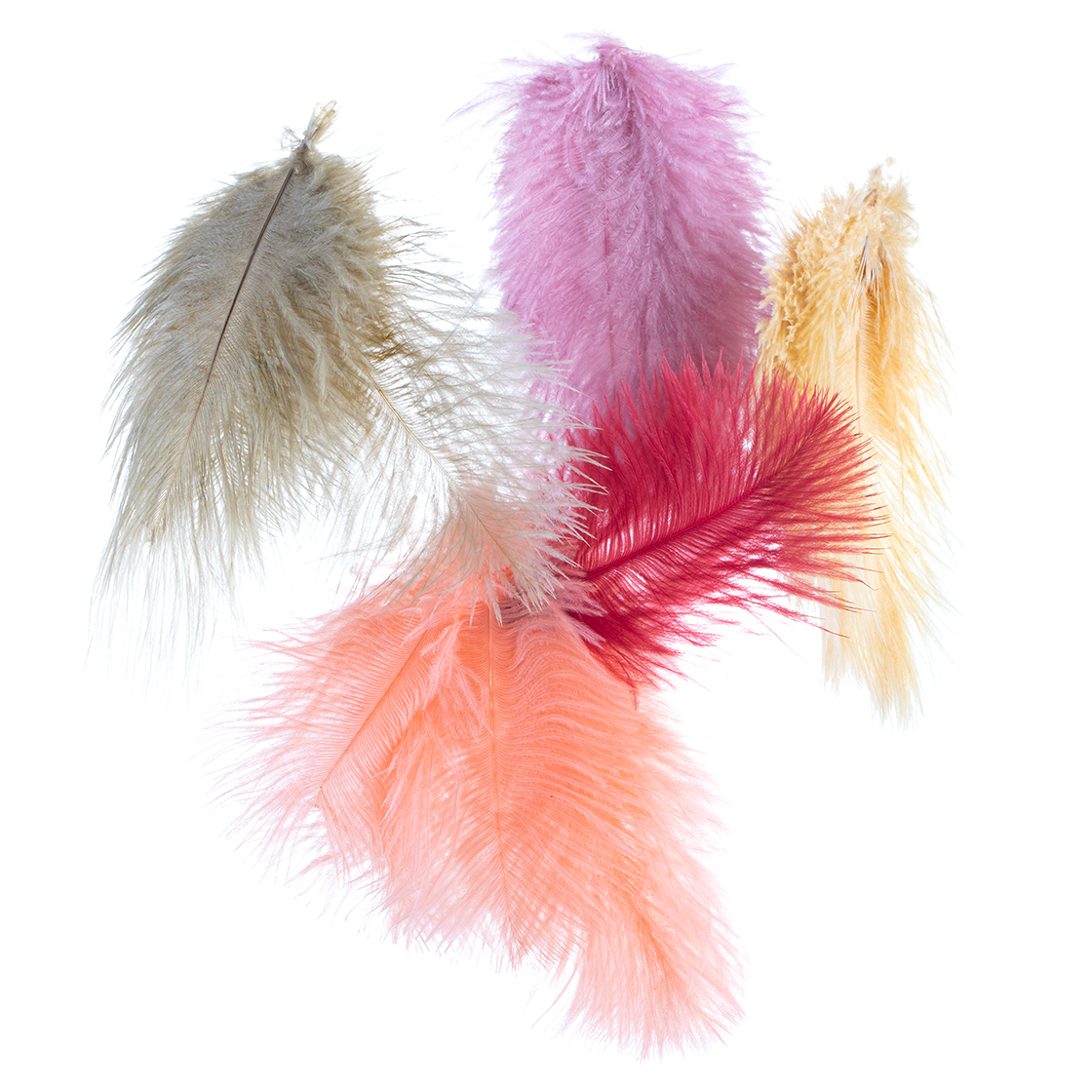 Mini plumes d'autruche big pack env. 30 pièces