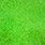 96 fluo green