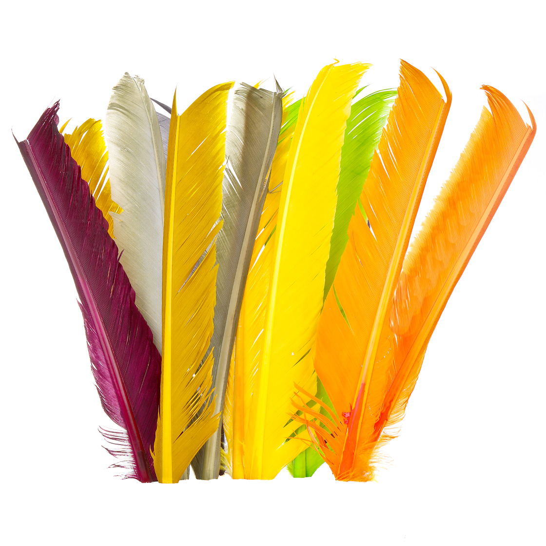 Fulling Mill Premium Turkey biots