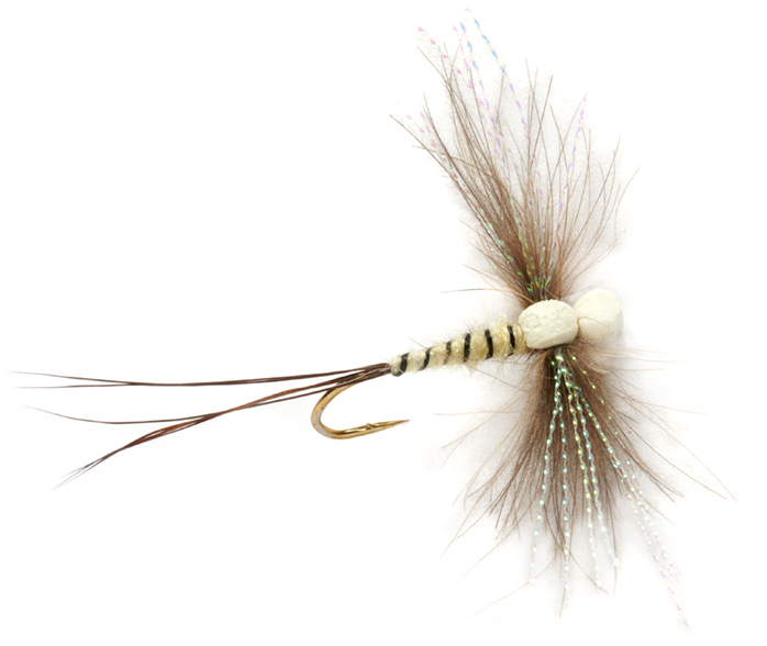 Fulling Mill mouche sèche - Procter's Twinkle Wing Spinner Mayfly mouche de mai