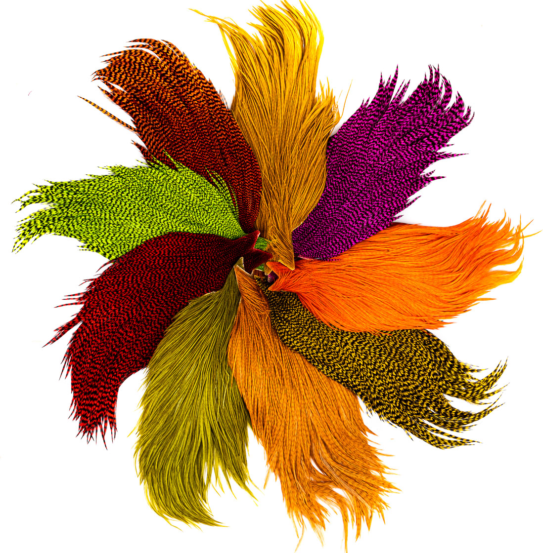 Whiting High & Dry Hackle Bronze cape entière