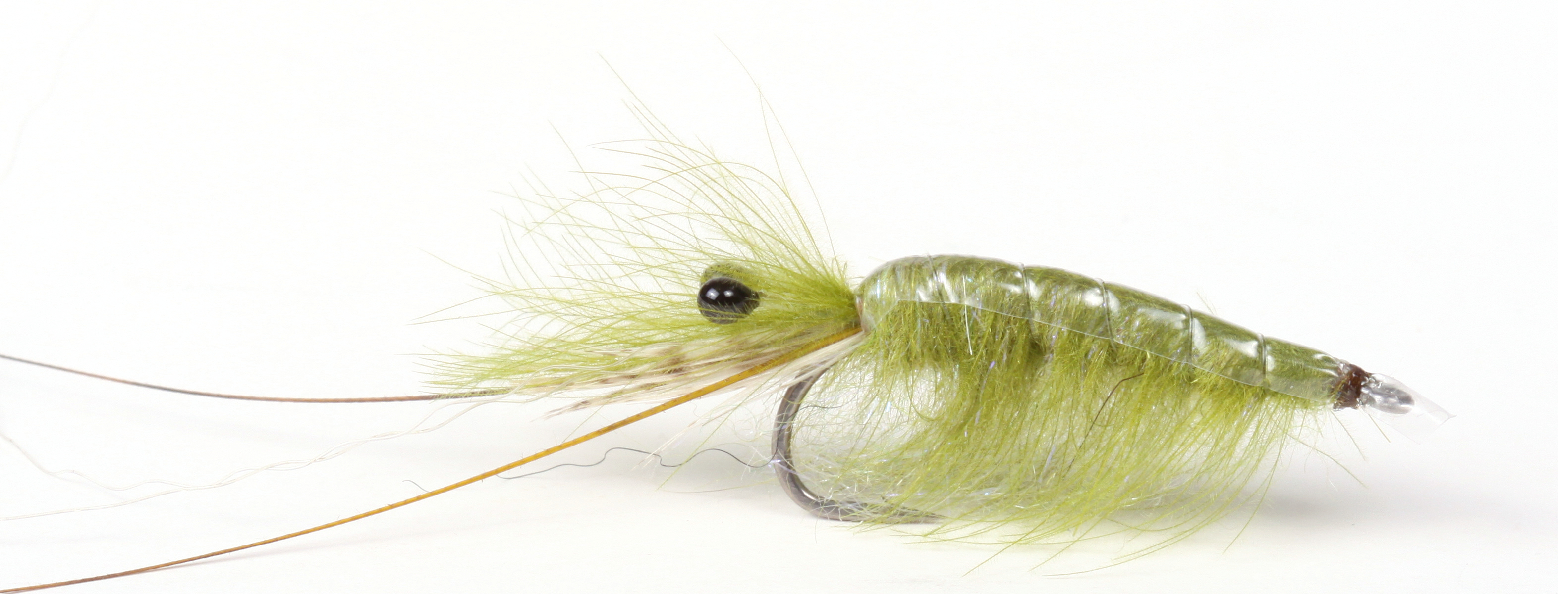 Guideline Mouche à truite de mer Olive CDC Shrimp